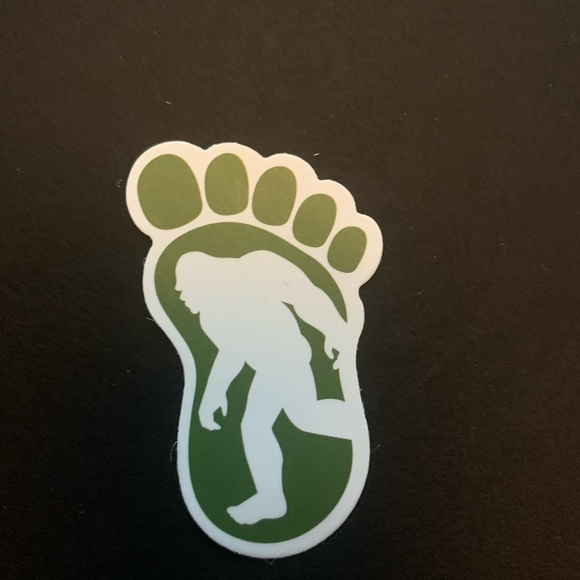 Do you believe in Bigfoot? - Picture 2 of 6